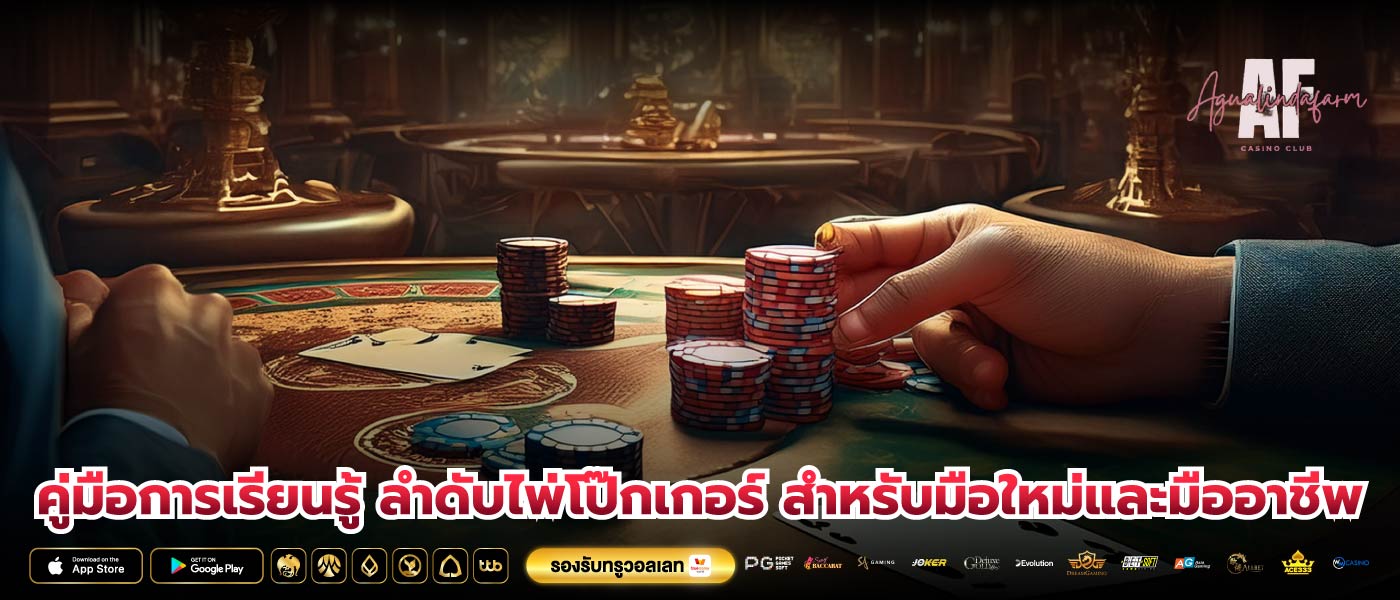 คู่มือการเรียนรู้ ลำดับไพ่โป๊กเกอร์ สำหรับมือใหม่และมืออาชีพ
